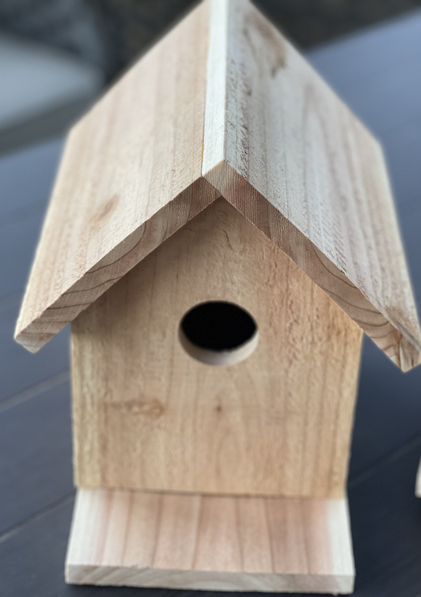 Build Your Own Birdhouse Kit - Cedar Wood, Sandpaper, Instructions, Nails - Only 21 Available!